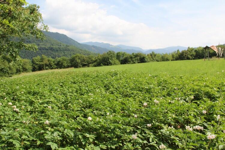 Azienda Agricola Andrea Zanin Scala dei Sapori 2016