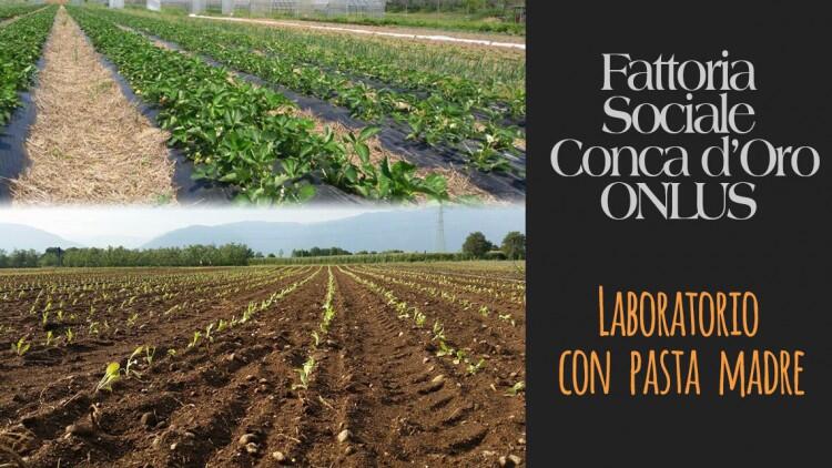 Fattoria Sociale Conca D'Oro - Laboratorio con pasta madre Scala dei Sapori 2015