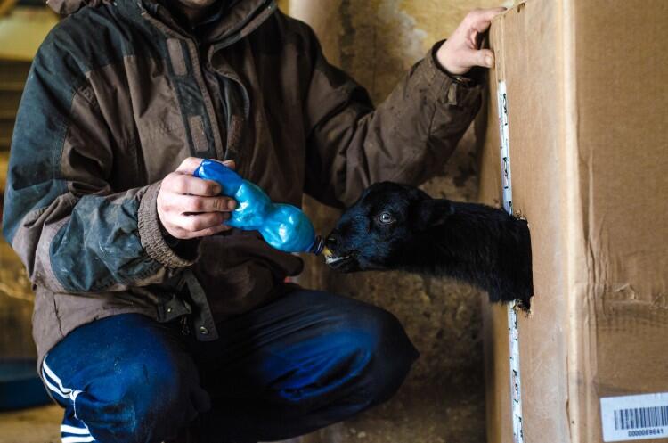 Formaggi Scala Dei Sapori 2019