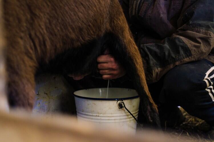 Formaggi Scala Dei Sapori 2019